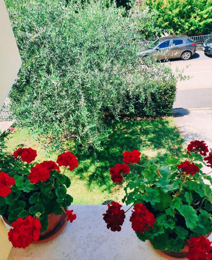 Apartment Novigrad Novigrad Istria Esterno foto