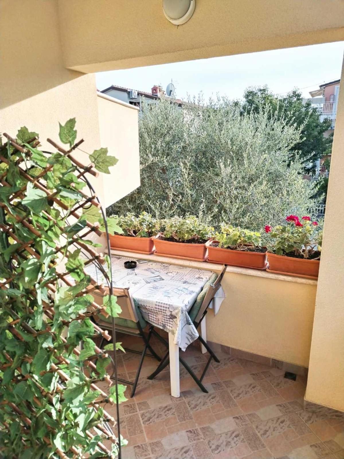 Apartment Novigrad Novigrad Istria Esterno foto